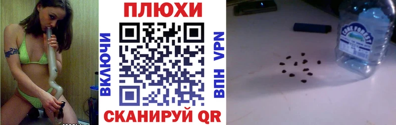 гидра Почеп ГАШ гарик купить сайты