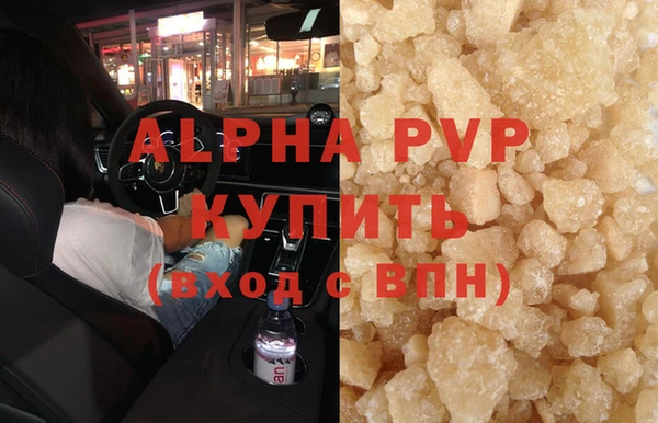 хмурый Осинники