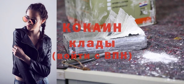 хмурый Осинники