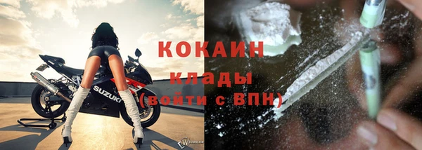хмурый Осинники