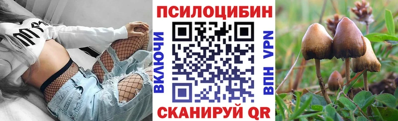 ОМГ ОМГ как войти  Почеп  Галлюциногенные грибы ЛСД 