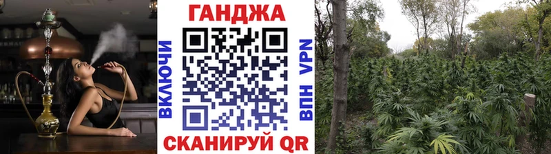Бошки Шишки план  Почеп 